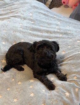 Zu verkaufen - Eschweiler