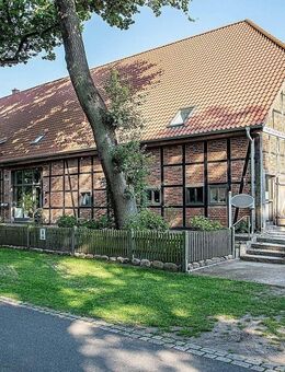 Einzigartig in der Elbtalaue - Damnatz