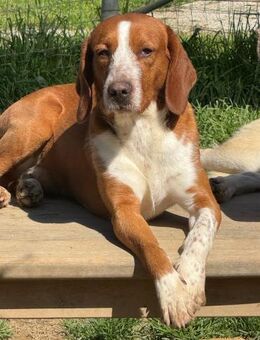 Al Pacino - Würzburg