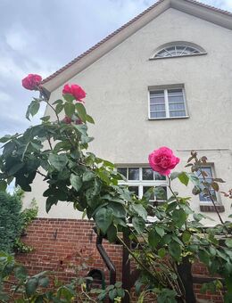 EFH im "Zentrum" Wolfen - Denkmalschutz aber ausbaufähig - Bitterfeld-Wolfen