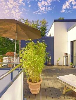 Wo Hamburg am grünsten ist - Penthouse mit Alsterlaufzugang - Hamburg