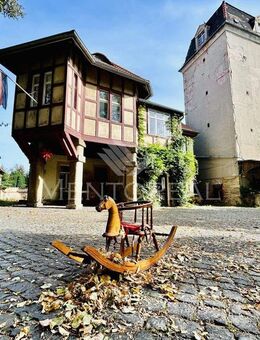 ***Historisches Mühlenanwesen am Profener Elstermühlgraben - Denkmal*** - Elstertrebnitz