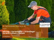 Gärtner / Gartenhelfer / Grünpfleger (m/w/d) Vollzeit / Teilzeit - Netphen