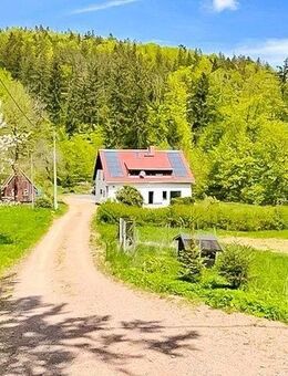 Hier sagen sich Fuchs & Hase gute Nacht... hochwertiges Einfamilienhaus in idyllischer Lage! - Altenberg