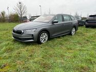 Skoda Octavia, Combi Selection EL HECKKL, Jahr 2024 - Buchholz (Nordheide)