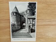 Ansichtskarte-AK-774-Niedeggen in der Eifel. Dürener Tor. - Nörvenich