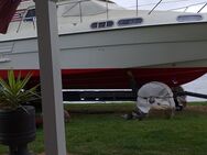 Motoryacht Sealine Fly 305 sehr gepflegt - Schliengen
