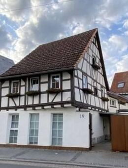 Ebenerdige 4-ZKB-Wohnung mit Terrasse in historischer Altstadt von Hochheim - Hochheim (Main)