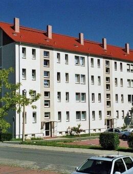 Singlewohnung - Thale