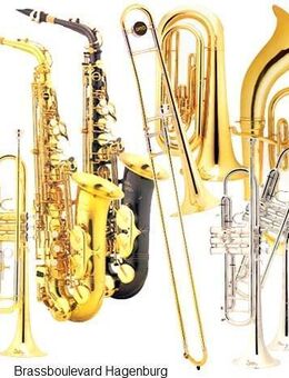 Ankauf Ihres alten Blasinstrumentes - Hagenburg
