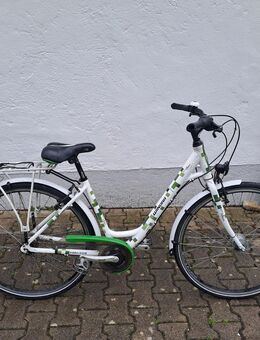 28 er winora damenrad, fahrrad,rad - Gräfelfing
