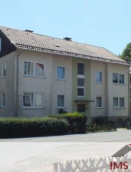 2 ZKB Erdgeschosswohnung in Walkenried zu vermieten - Walkenried