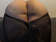 Chubby 🍑 möchte mit XL/XXL 🍆 Aktiven unter die Dusche - Böblingen