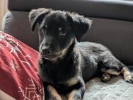 Hilde - Lebhafte Träumerin - Berlin