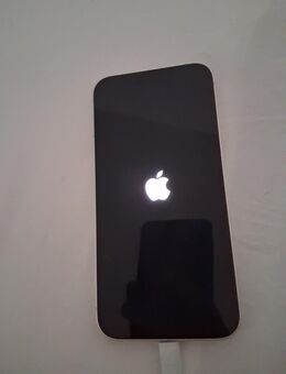 IPhone 13 128gb 77% Batterie - Wiesbaden