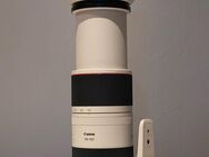 Canon RF 100-500mm 4.5-7.1 L IS USM - Brunnhartshausen