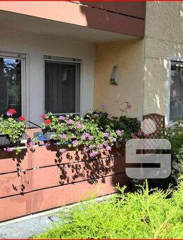 " PREISWERTES FAMILIENGLÜCK ! " - Freilassing