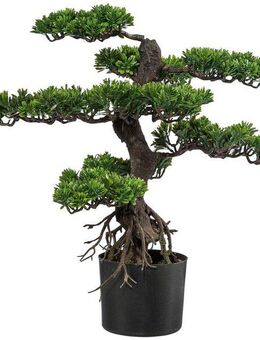 Kunstbonsai Bonsai Bonsai, Creativ green, Höhe 75 cm