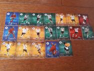 DFB Karten 2010 - Versmold