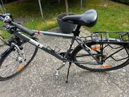 Herrenrad Pegasus Piazza 28 Zoll - Rellingen