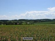 Unbebautes Grundstück/Landwirtschaftsfläche - Beelitz