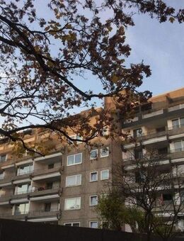 Hier will ich wohnen: großzügige 3,5-Zimmer-Wohnung nahe MHH - Hannover