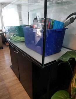 Aquarium komplett 430l - Darmstadt