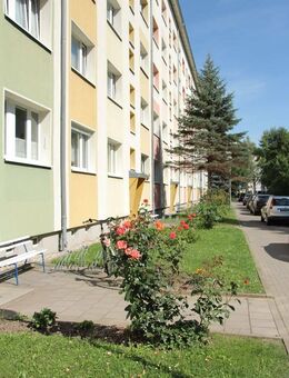 gemütliche 1 Raum Wohnung mit Badewanne - Döbeln