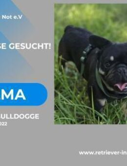 Alma-auf der Suche nach ihrem Zuhause - Lippetal