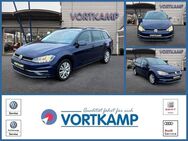 VW Golf Variant, Golf VII United AppConnect, Jahr 2020 - Gronau (Westfalen)