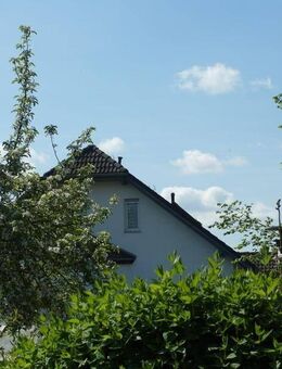 Geheimtipp! Wohnen in grüner Lage * sonnige Terrasse & Garten* PV-Anlage für autarke Stromversorgung - Torgau