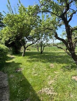 Barrierefreier und großzügiger Bungalow mit 1.400 qm Grundstück - Prichsenstadt