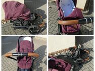 Verkaufe tollen Hartan Kinderwagen - Oderwitz