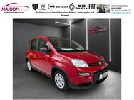 Fiat Panda, 1.0 GSE Hybrid City-Paket, Jahr 2024 - Geldern