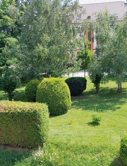 * Nachvermietung *Schick und gepflegt * Balkon * - Naumburg (Saale)