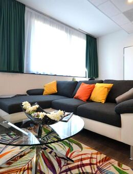 frei ab 16.10. Schönes 1-Zimmer-Penthouse-Apartment, komfortabel & bequem ausgestattet, Innenstadt Offenbach - Offenbach (Main)