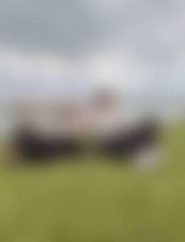 Sar*** - Hambrücken