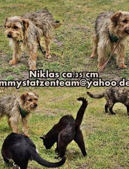 Niklas hat Lust, die Welt zu entdecken - Schafflund