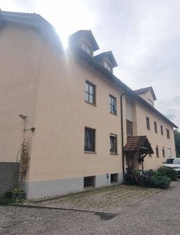 NEUMANN - Großzügige 2ZKB Wohnung im Hochparterre mit Balkon u. Einbauküche - Pfaffenhofen (Ilm)