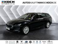 Skoda Octavia, 1.5 TSI Combi e-TEC Selection P, Jahr 2024 - Berlin