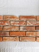 Urban mining alte Ziegel upgrade cradle to cradle upcycling Handgemacht gebrannter Ton Wände Backstein Optik in 06198