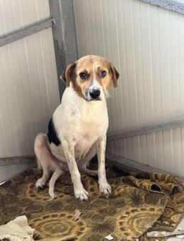 HAPPIE ❤ EILIG - Langenhagen