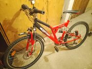 Mountainbike - Halle (Saale)