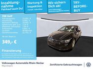 VW Golf, 2.0 TDI VIII Life, Jahr 2021 - Mannheim