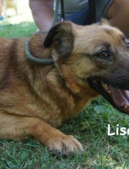 Lisa Ihre sanfte Art ... - Kissing