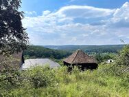 Viel Grün mit Aussicht in bevorzugter Wohnlage - Stuttgart