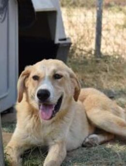 RENIA - träumt von einer eigenen Familie - Aerzen