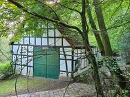 Mitten im Wald bei Ostercappeln: Kleines Haus mit großem Potential! OPEN HOUSE am 23.11. um 11h! - Ostercappeln