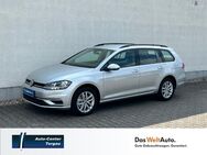VW Golf, 2.0 TDI VII Var Comfortl, Jahr 2020 - Torgau