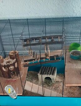 Großer Käfig für Mäuse oder Hamster - Dessau-Roßlau